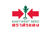 sorndaengseedlogo