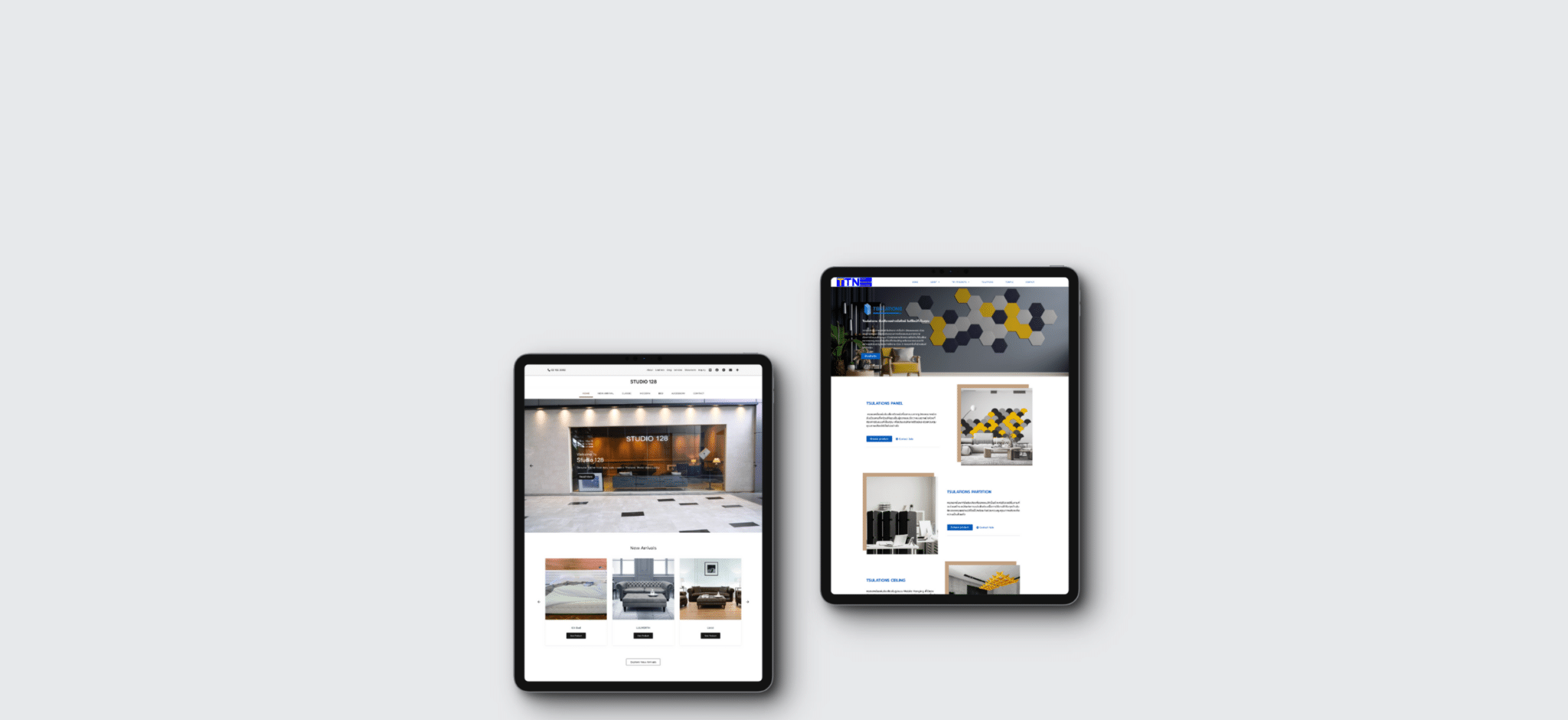Website design for Business on ipad