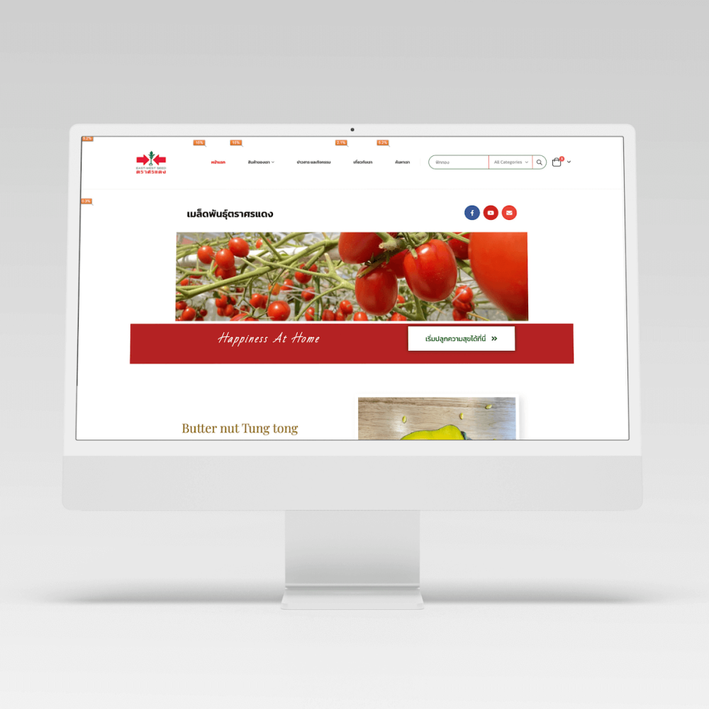 Sorndaengseed Website